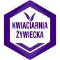 Kwiaciarnia Żywiecka Anna Hańderek